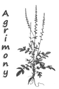 voisin | partage | agrimoine| fleur de bach | durosier | attitude