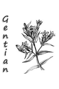 voisin | partage | agrimoine| fleur de bach | durosier | attitude