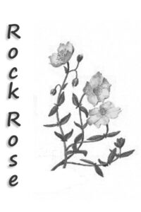 voisin | partage | rock rose | fleur de bach | durosier | attitude